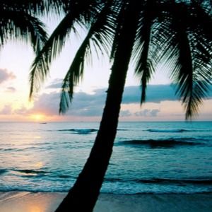 Meet your Posher, Crazyalienllama